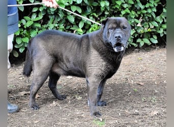 Morgan - wird hoffentlich alles besser