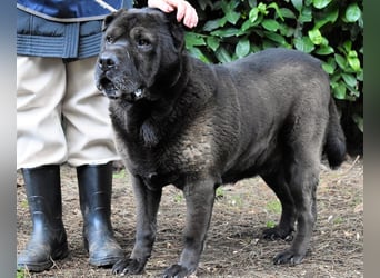 Morgan - wird hoffentlich alles besser