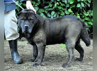 Morgan - wird hoffentlich alles besser