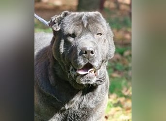 Morgan - wird hoffentlich alles besser