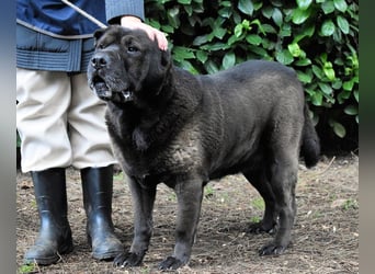 Morgan - wird hoffentlich alles besser