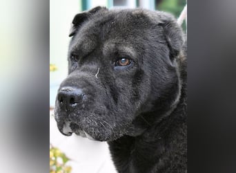 Morgan - wird hoffentlich alles besser