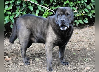 Morgan - wird hoffentlich alles besser