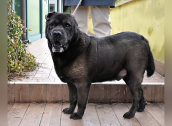 Morgan - wird hoffentlich alles besser