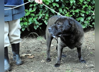 Morgan - wird hoffentlich alles besser