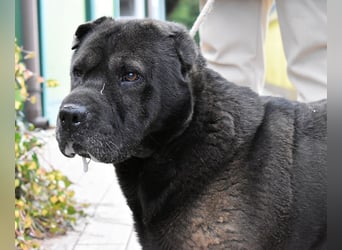 Morgan - wird hoffentlich alles besser