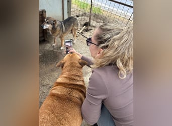 Linda sucht deine Nähe