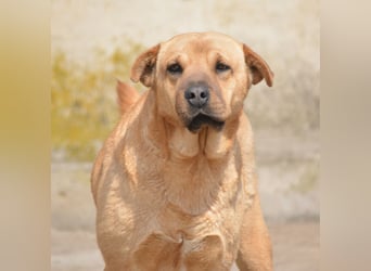 Molly, ca. 2024 geboren, selbstbewusst und aktiv