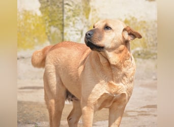 Molly, ca. 2024 geboren, selbstbewusst und aktiv