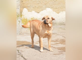 Molly, ca. 2024 geboren, selbstbewusst und aktiv