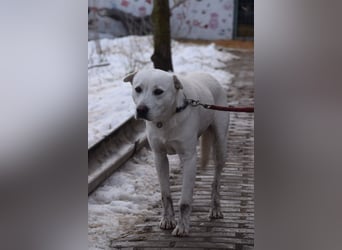 Dustin - anfangs etwas vorsichtig, verschmust & freundlich