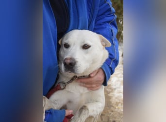 Dustin - anfangs etwas vorsichtig, verschmust & freundlich