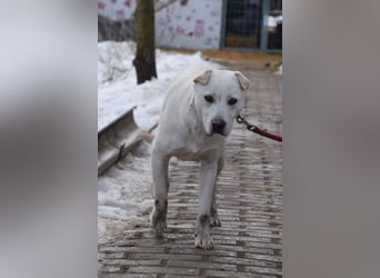 Dustin - anfangs etwas vorsichtig, verschmust & freundlich