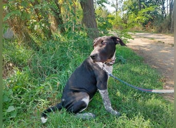 Akril-VA – Jung, sanft und bereit für ihr eigenes Glück