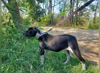 Akril-VA – Jung, sanft und bereit für ihr eigenes Glück