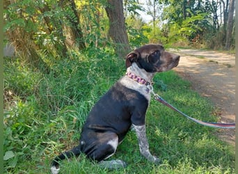 Akril-VA – Jung, sanft und bereit für ihr eigenes Glück