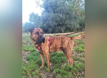 ORIK sucht entspannte Menschen