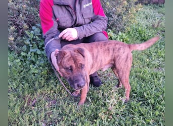 ORIK sucht entspannte Menschen