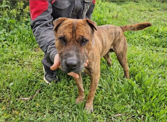 ORIK sucht entspannte Menschen