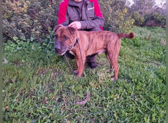 ORIK sucht entspannte Menschen