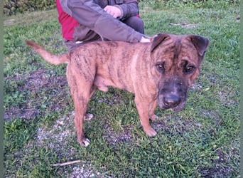 ORIK sucht entspannte Menschen