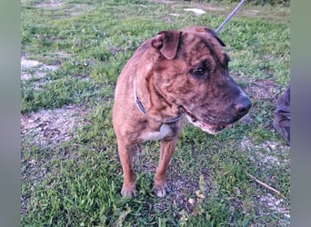 ORIK sucht entspannte Menschen