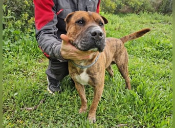 ORIK sucht entspannte Menschen