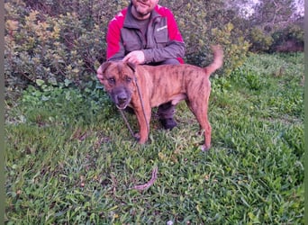 ORIK sucht entspannte Menschen