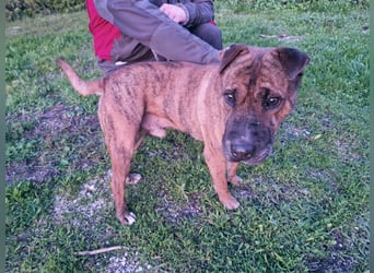 ORIK sucht entspannte Menschen