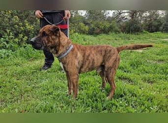 ORIK sucht entspannte Menschen