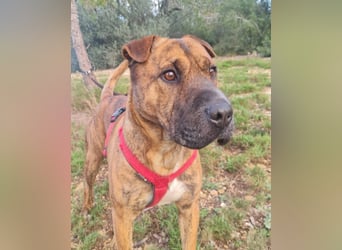 ORIK sucht entspannte Menschen