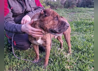 ORIK sucht entspannte Menschen