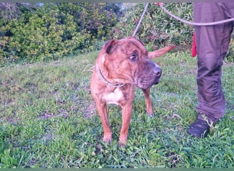 ORIK sucht entspannte Menschen