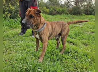 ORIK sucht entspannte Menschen