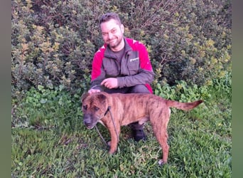 ORIK sucht entspannte Menschen