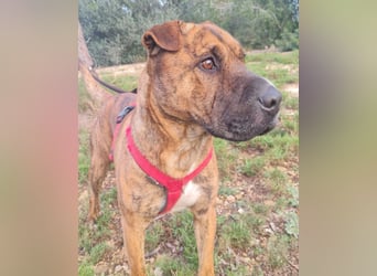 ORIK sucht entspannte Menschen