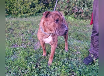 ORIK sucht entspannte Menschen