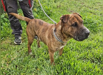 ORIK sucht entspannte Menschen