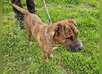 ORIK sucht entspannte Menschen