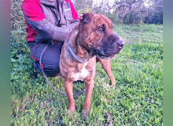 ORIK sucht entspannte Menschen