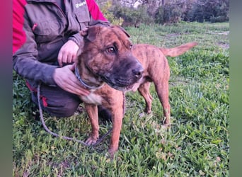 ORIK sucht entspannte Menschen