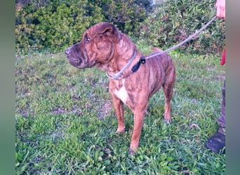 ORIK sucht entspannte Menschen