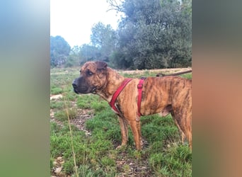 ORIK sucht entspannte Menschen