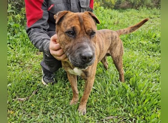 ORIK sucht entspannte Menschen