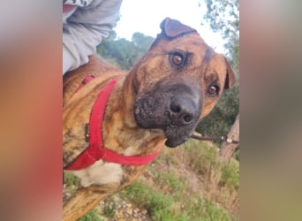 ORIK sucht entspannte Menschen