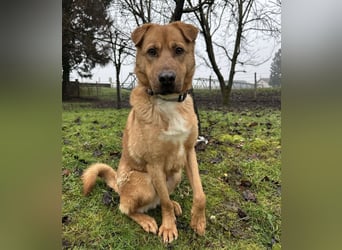 Béju ein sehr freundliches Wesen