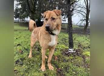 Béju ein sehr freundliches Wesen