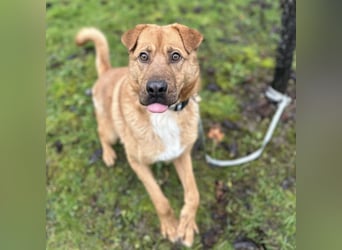 Béju ein sehr freundliches Wesen