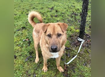 Béju ein sehr freundliches Wesen