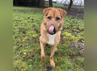 Béju ein sehr freundliches Wesen